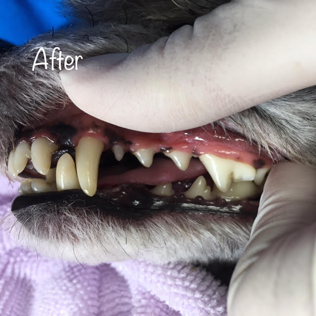 After After