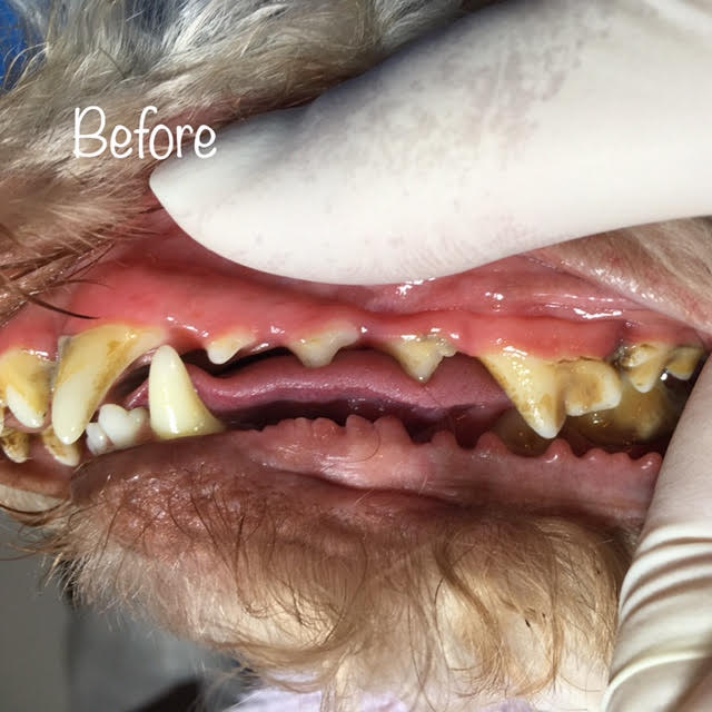 Before Before