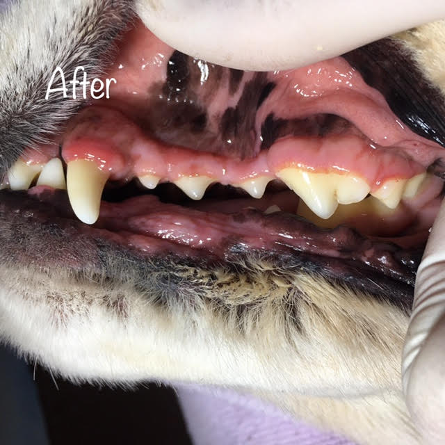 After After