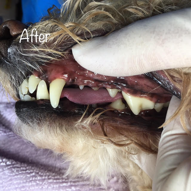 After After