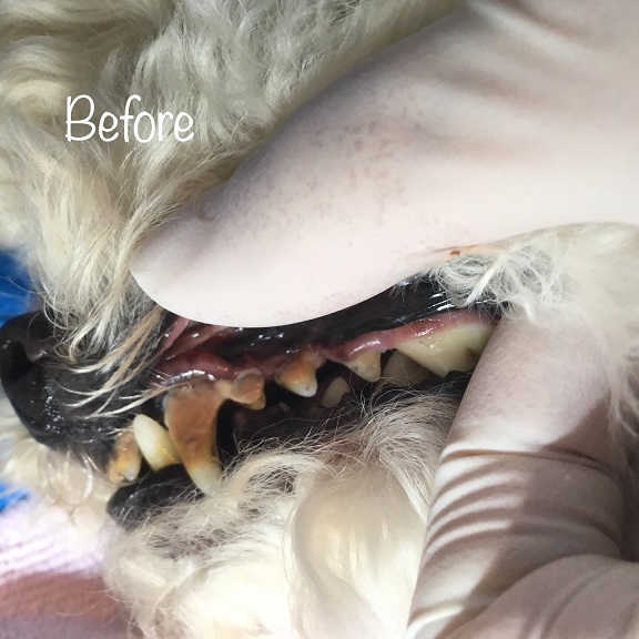 Before Before