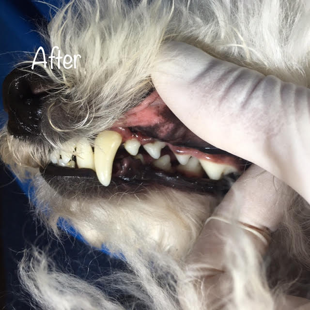 After After
