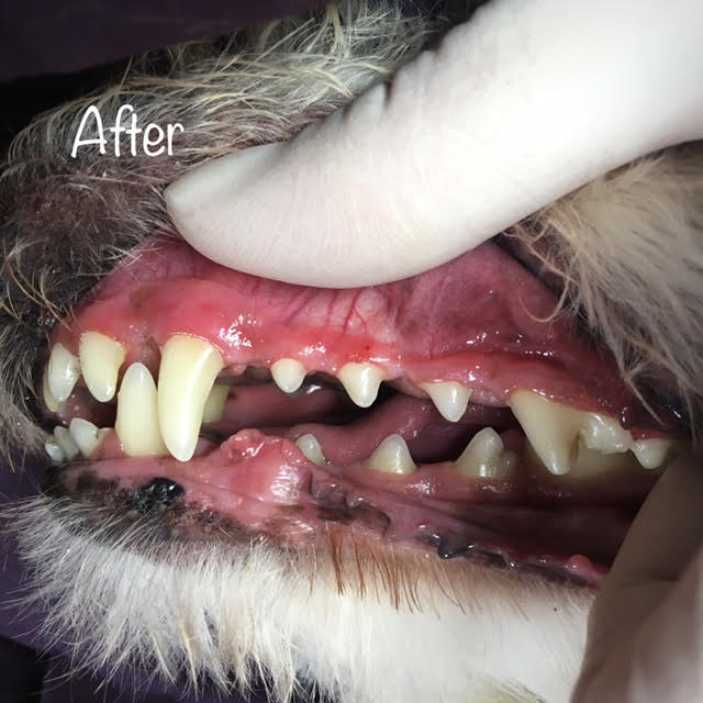 After After