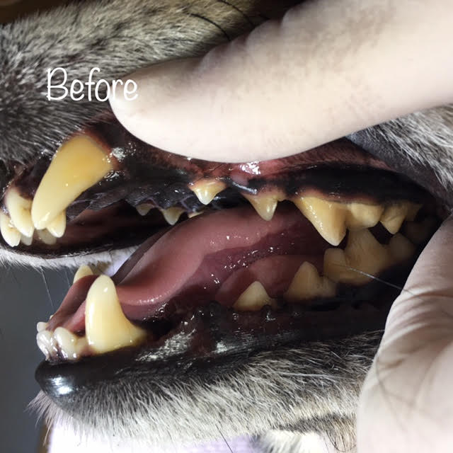 Before Before