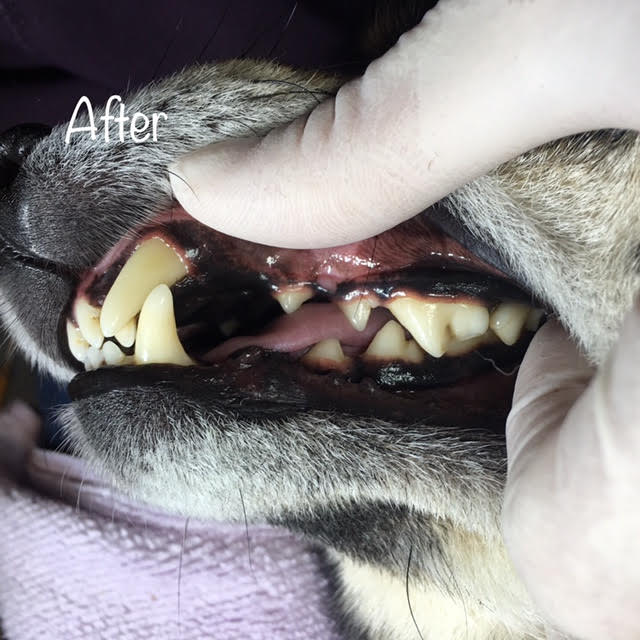 After After