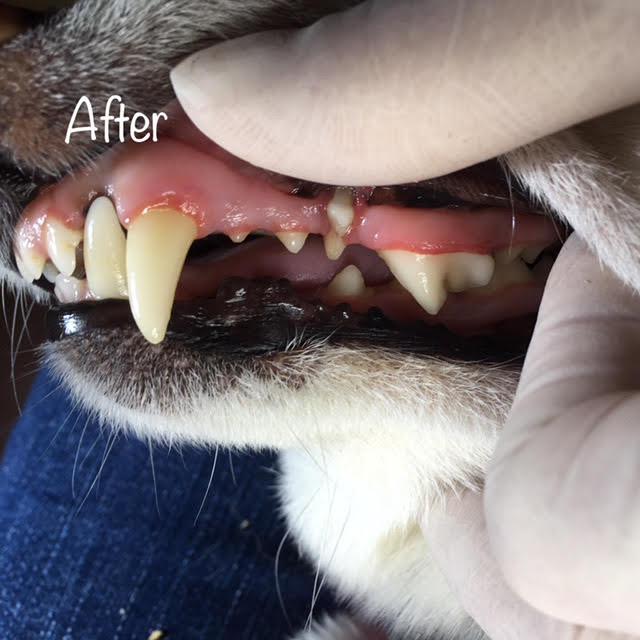 After After