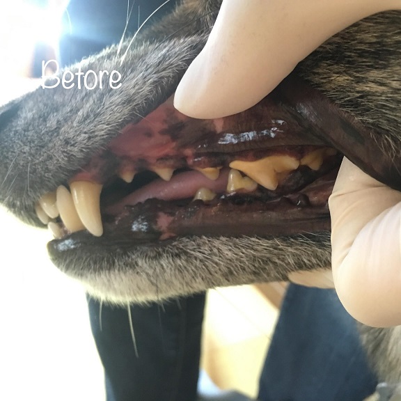 Before Before