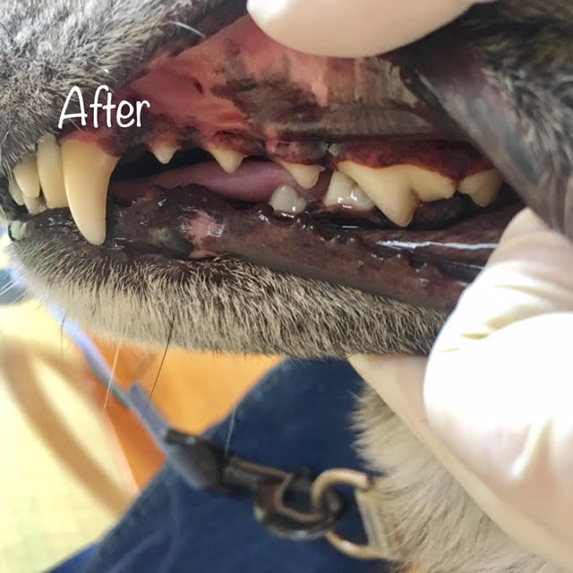 After After