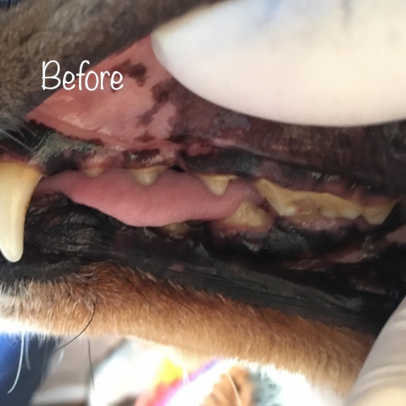 Before Before