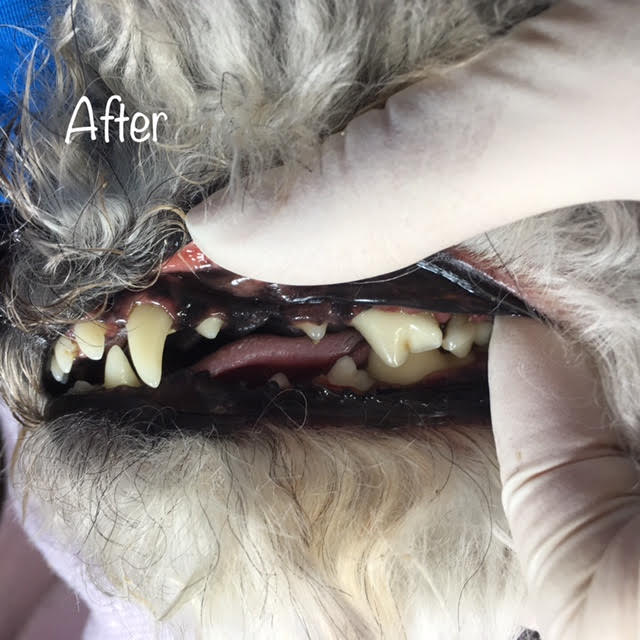 After After