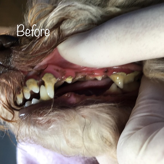 Before Before