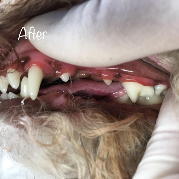 After After