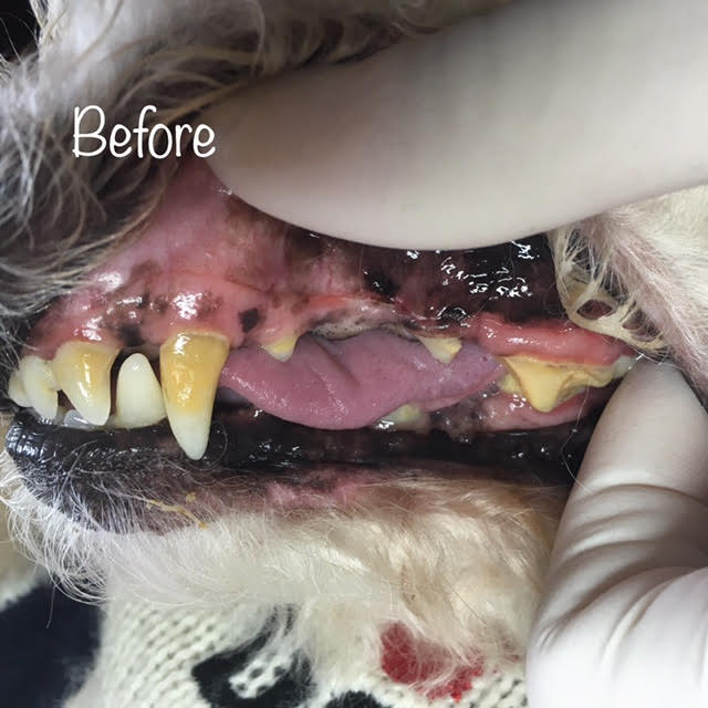 Before Before