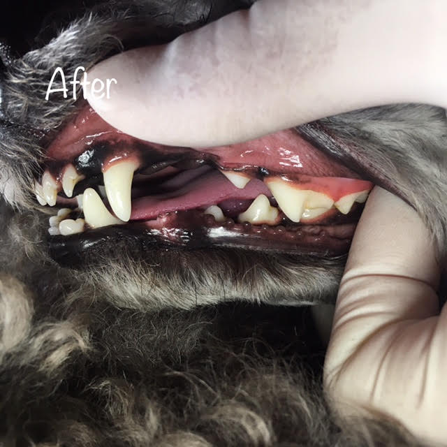 After After