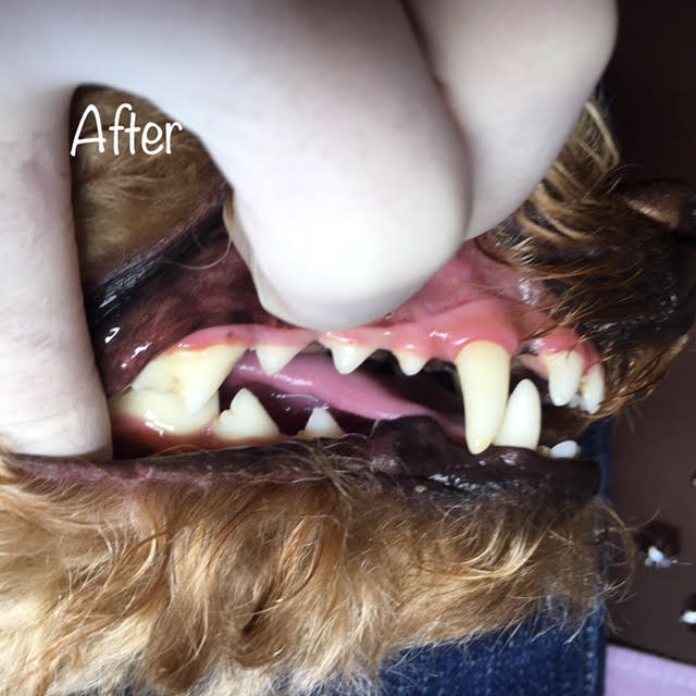 After After