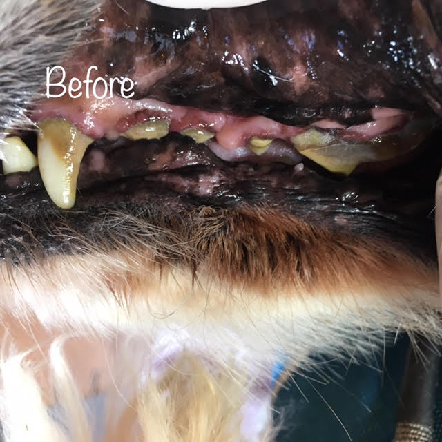 Before Before