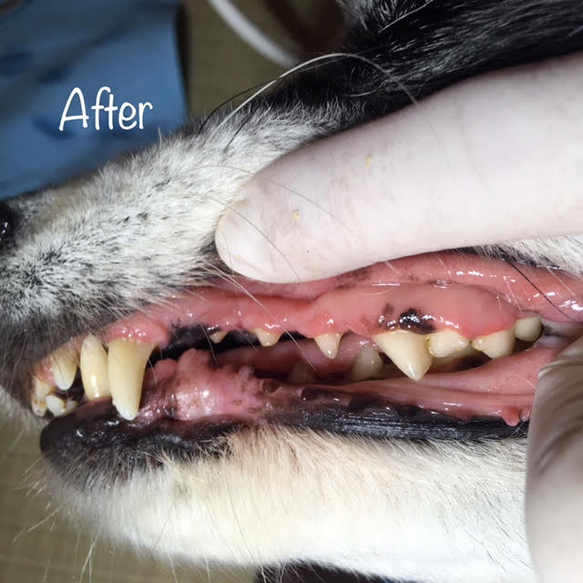 After After