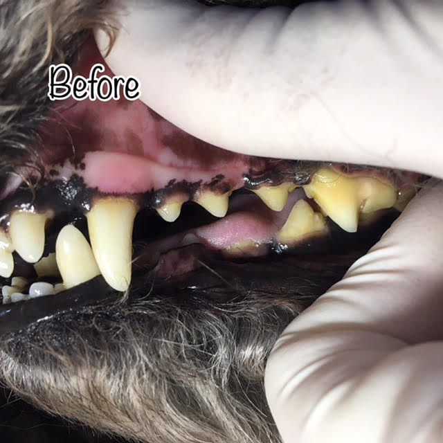 Before Before
