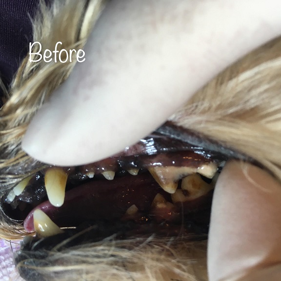 Before Before