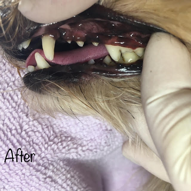 After After