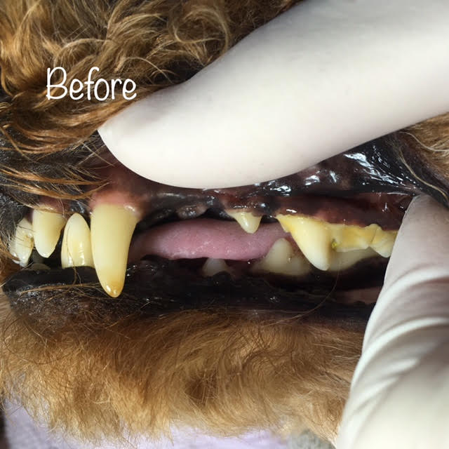Before Before