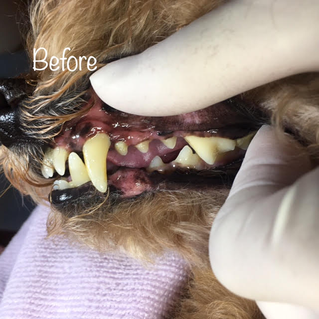Before Before
