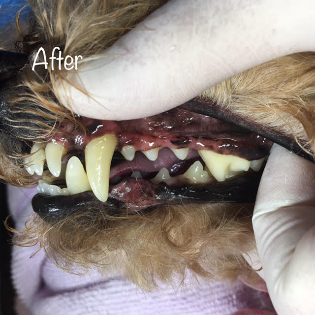 After After