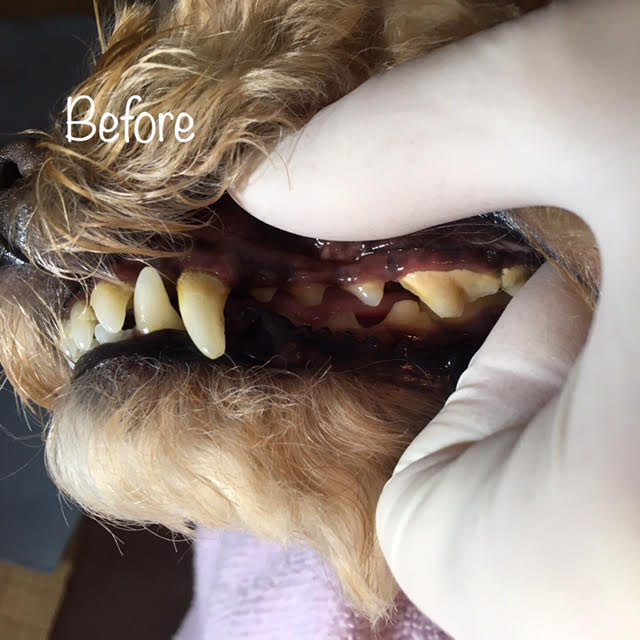 Before Before