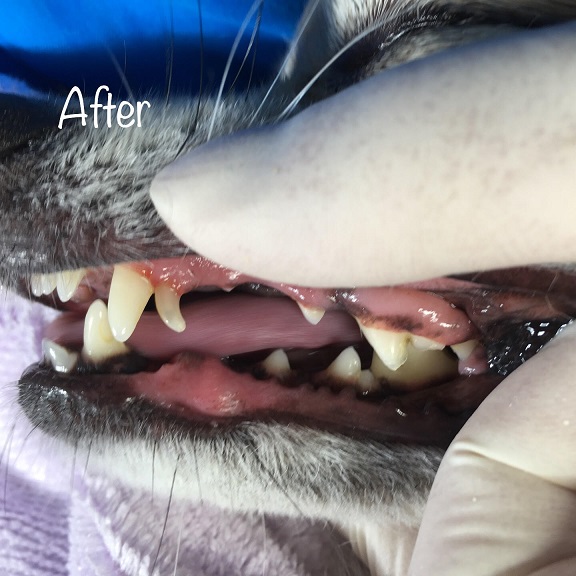 After After