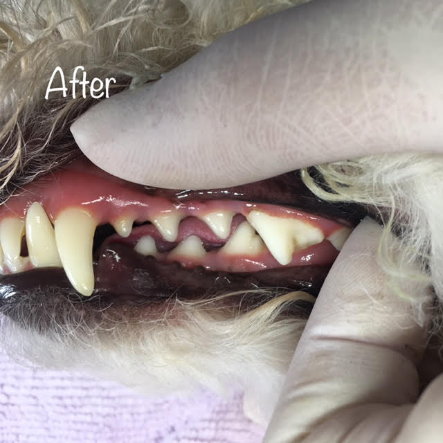 After After