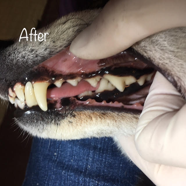 After After