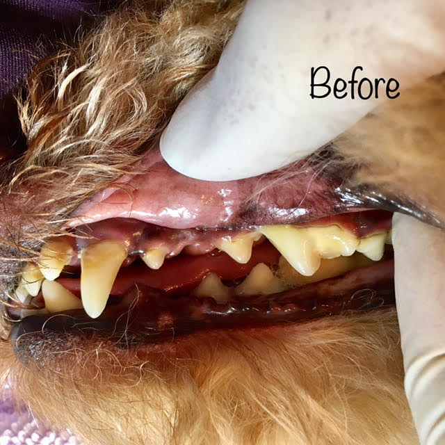 Before Before