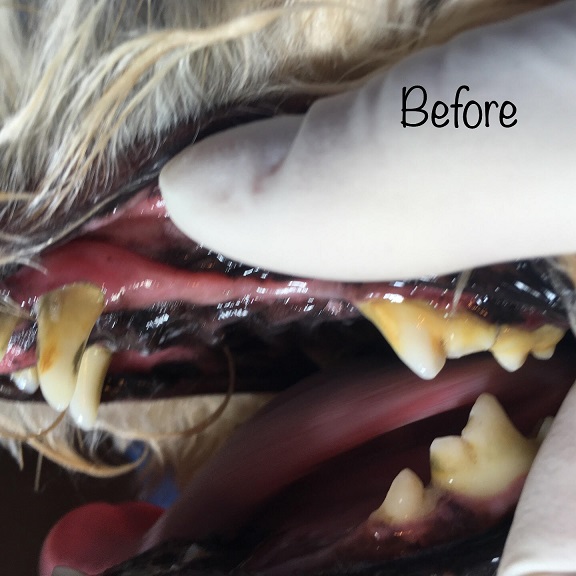 Before Before