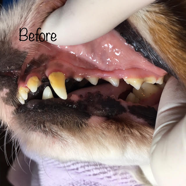 Before Before