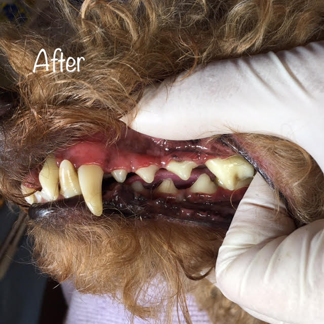After After