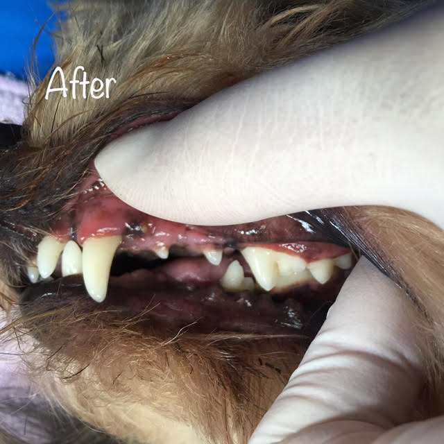 After After