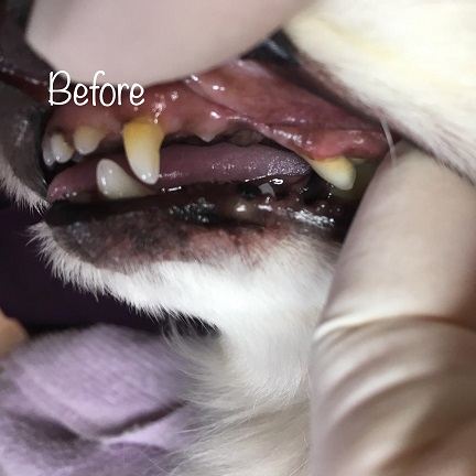 Before Before
