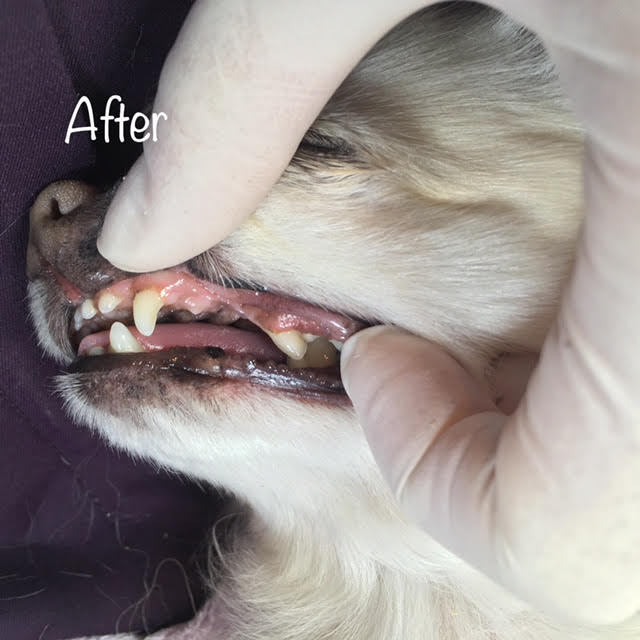 After After