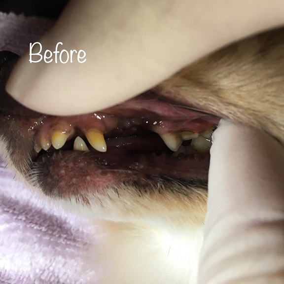 Before Before