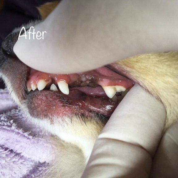 After After