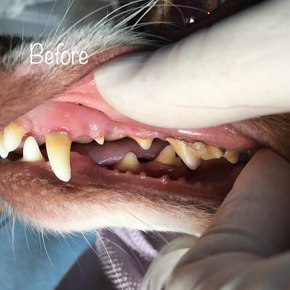 Before Before