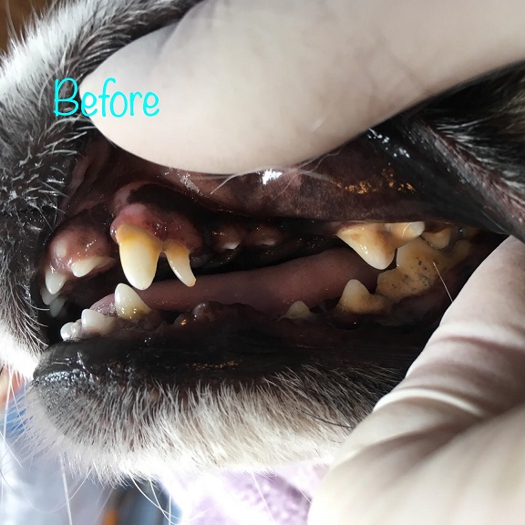 Before Before