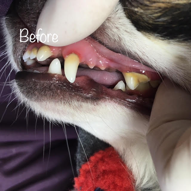 Before Before