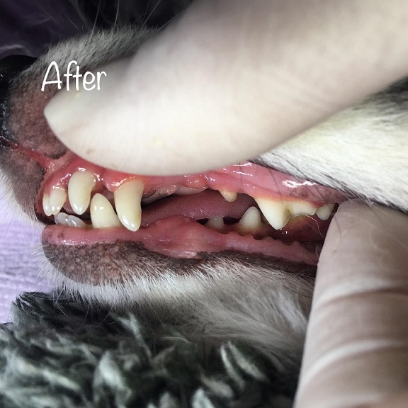 After After