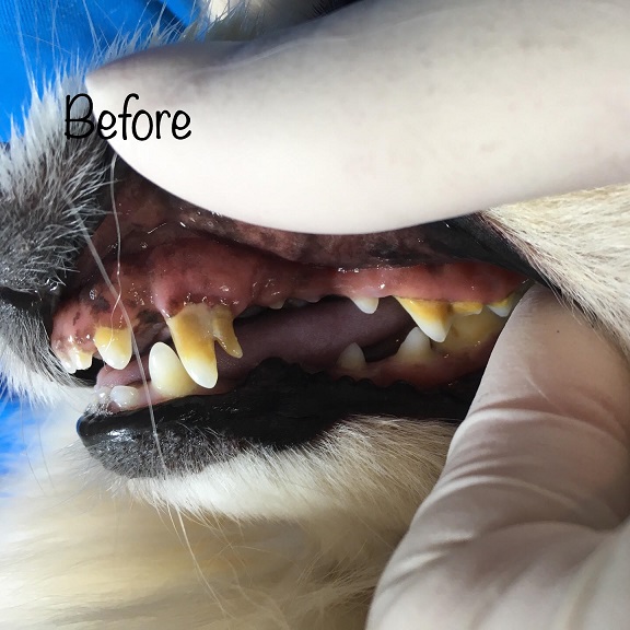 Before Before