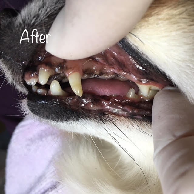 After After