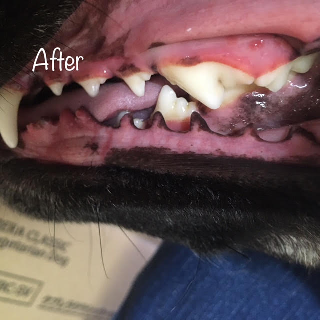 After After