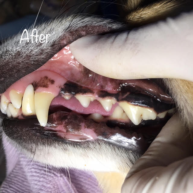 After After