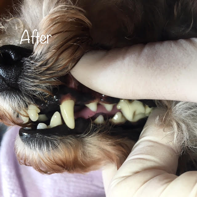 After After