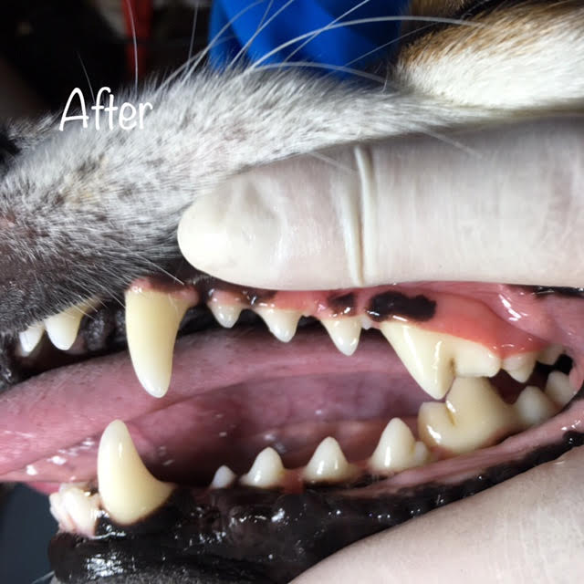 After After